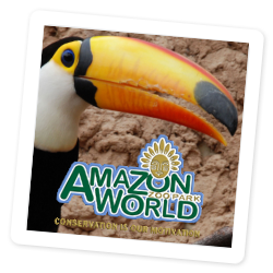 Amazon World Zoo Park on the Isle of Wight