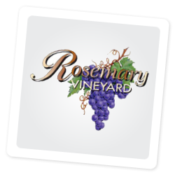 Rosemary Vineyard on the Isle of Wight