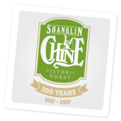 Shanklin Chine on the Isle of Wight
